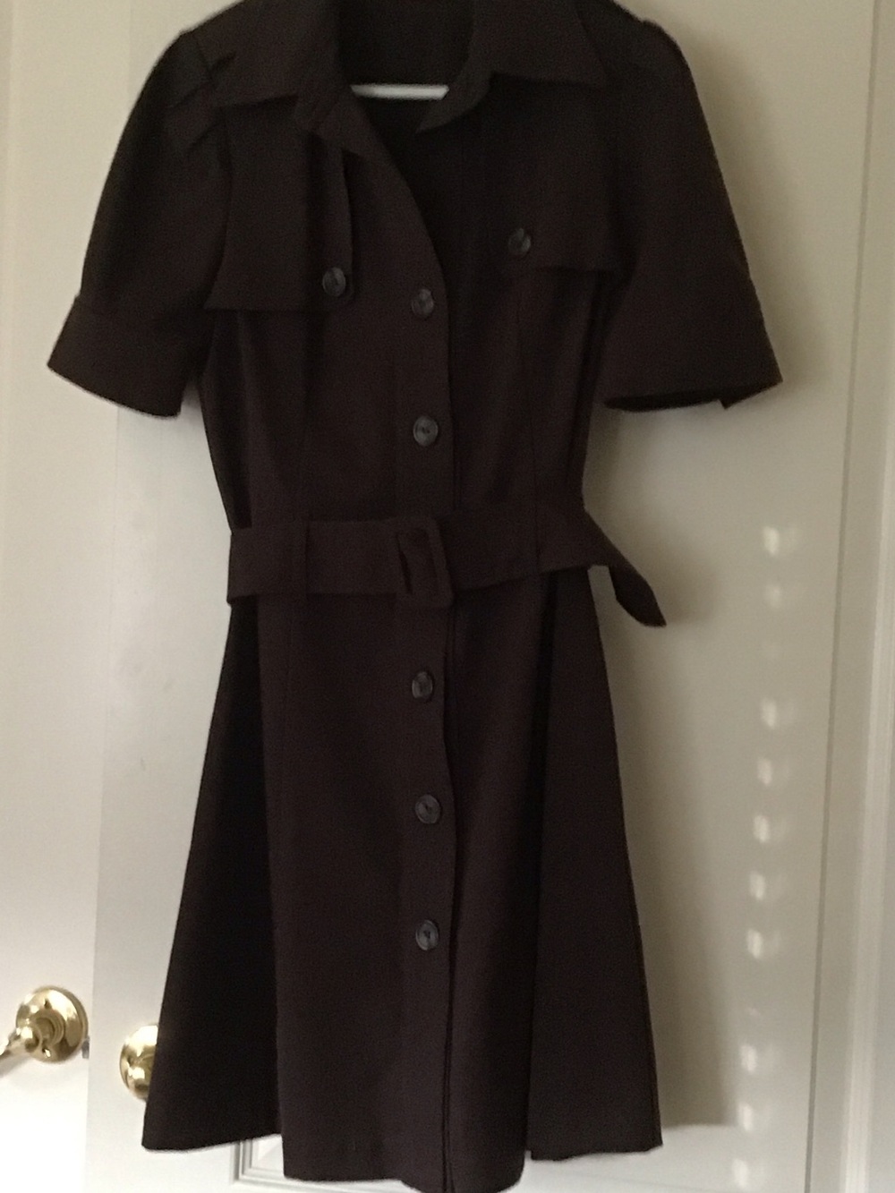 Button-Front Short Sleeve A-Line Dress in Dark Brown